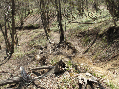20140502hike (321)